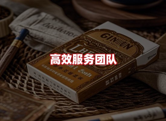 专业团队